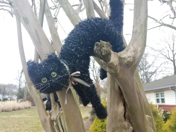 Fake Black Cat Feline Sitting Tree Branches — Stock Photo, Image