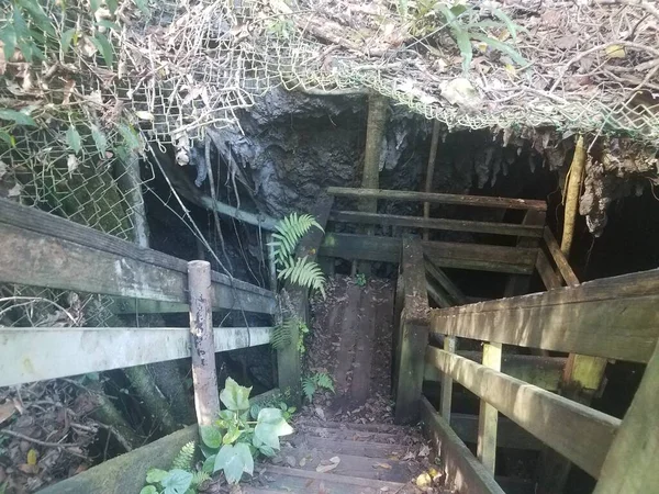 Entrada Cueva Con Escalones Escaleras Bosque Guajataca Puerto Rico —  Fotos de Stock