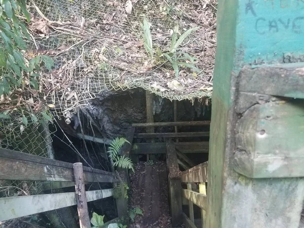Entrada Cueva Con Escalones Escaleras Bosque Guajataca Puerto Rico — Foto de Stock