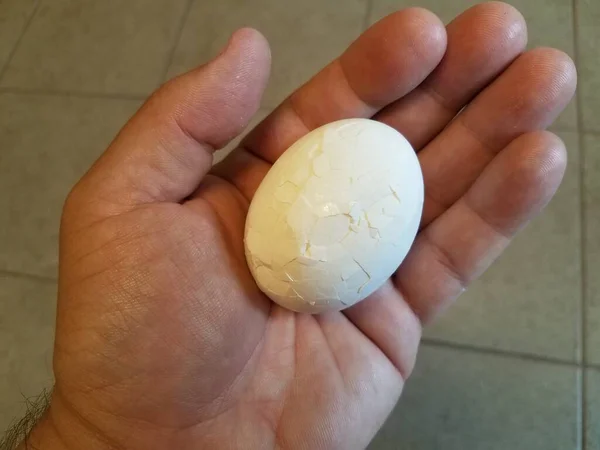Una Mano Sosteniendo Huevo Con Una Cáscara Rota —  Fotos de Stock