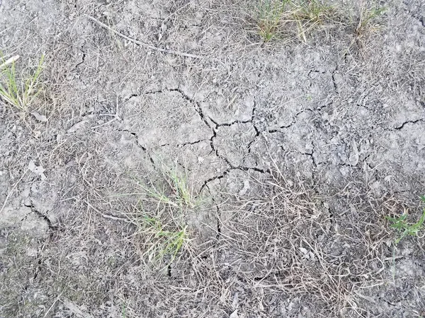 死んだ草とその中に亀裂がある非常に乾燥した土 — ストック写真