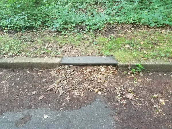 Storm Drain Filled Dirt Debris Cement Curb Asphalt — Stock Photo, Image