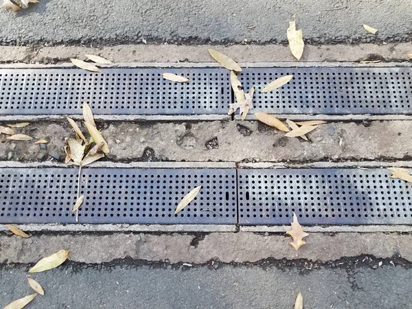 Asfalto Cemento Con Desagüe Metálico Rejilla Con Agujeros Hojas — Foto de Stock