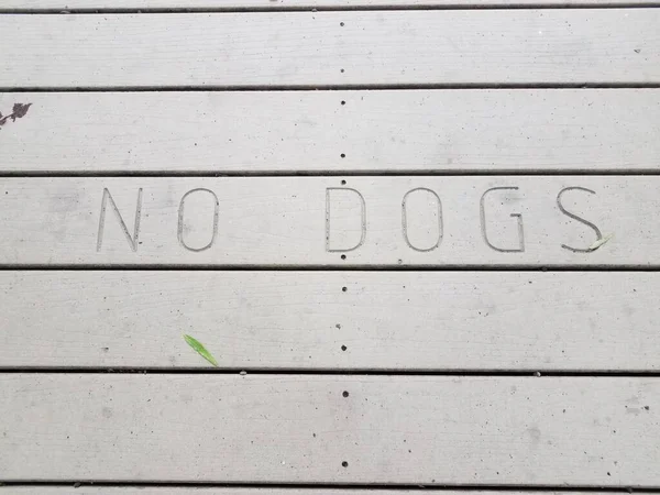 Nenhum Sinal Cães Calçadão Madeira Marrom Caminho Chão — Fotografia de Stock