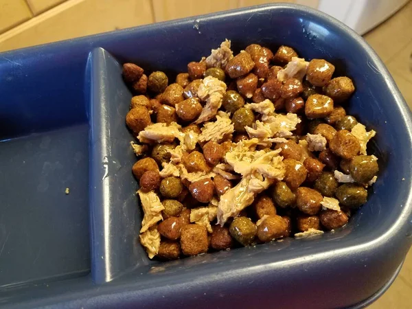 Mix Wet Moist Dry Dog Food Plastic Bowl Dish — Stock Photo, Image