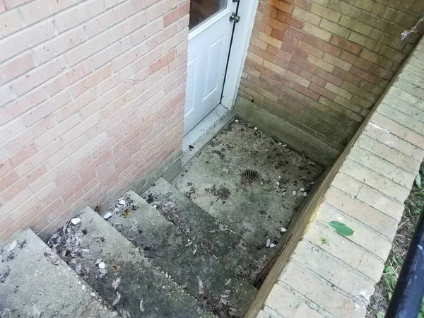 Dirty Cement Basement Steps Leaves Floor Drain — Stock Photo, Image