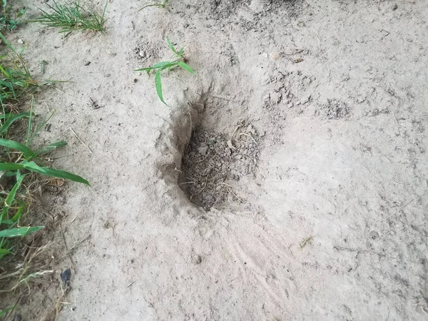 dry dirt or soil ground with a hole in it