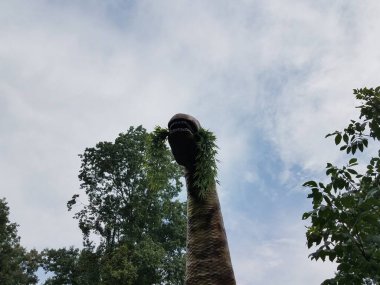 Uzun boyunlu bir dinozor ormanda ot yiyor.