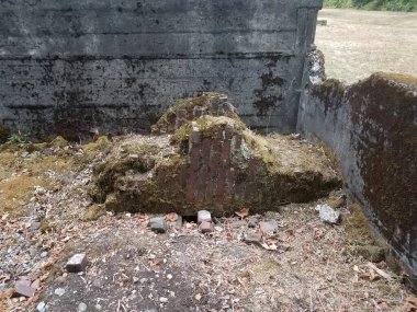 Harap olmuş taş ve tuğla yapı ve kahverengi çimen veya çimen