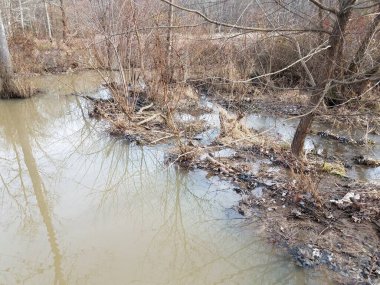 Su, dallara ve doğal barajdan gelen çamura karışıyor.