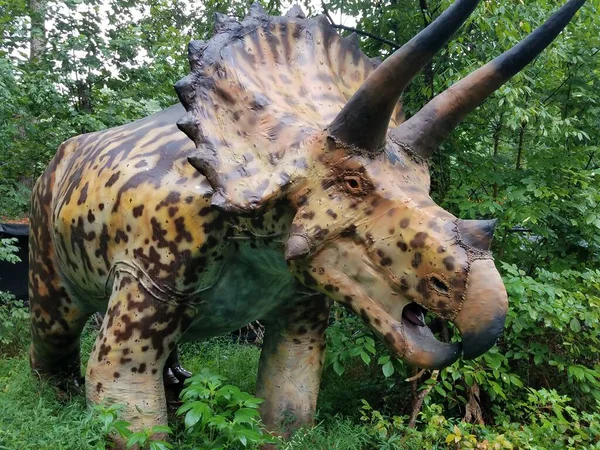Dinosaurus Met Drie Scherpe Hoorns Het Bos Bos — Stockfoto