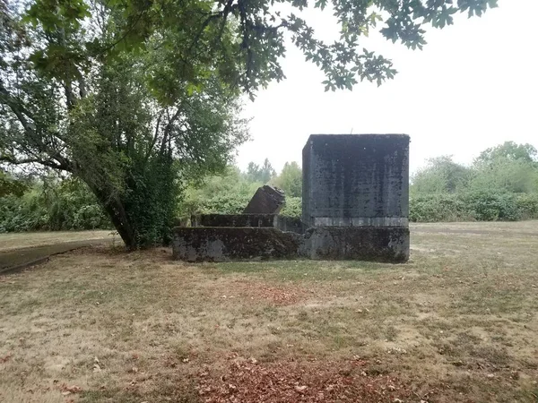 Pierre Délabrée Structure Brique Herbe Brune Pelouse — Photo