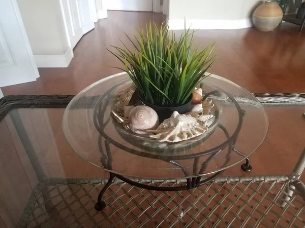 玻璃碗中的绿色植物和贝壳 桌子上有木地板 — 图库照片