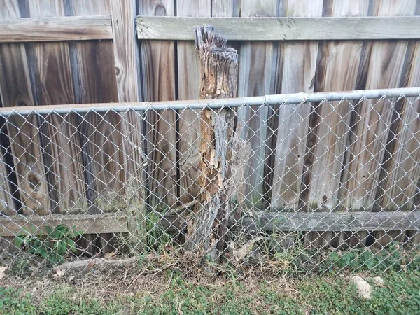 Cerca Eslabón Cadena Metal Con Tronco Árbol Muerto —  Fotos de Stock