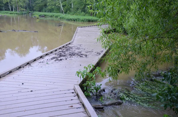 Débris Sur Trottoir Bois Sentier Avec Eau Dans Les Milieux — Photo