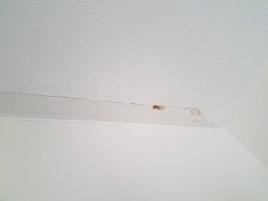 Alçıpan tavanında çatlak ve sızıntı var.