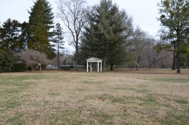 Çimenli ve ağaçlı sütunları olan beyaz yapı