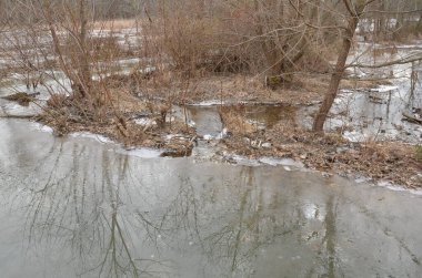 donmuş su, buz ve çamur ve bitkiler göl ya da nehirde