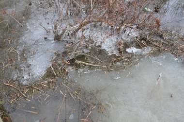 donmuş su, buz ve çamur ve bitkiler göl ya da nehirde