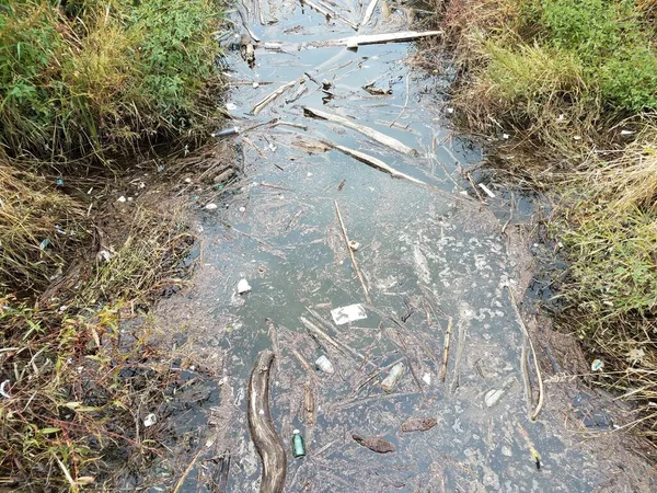 creek or river with wood debris and trash and grasses