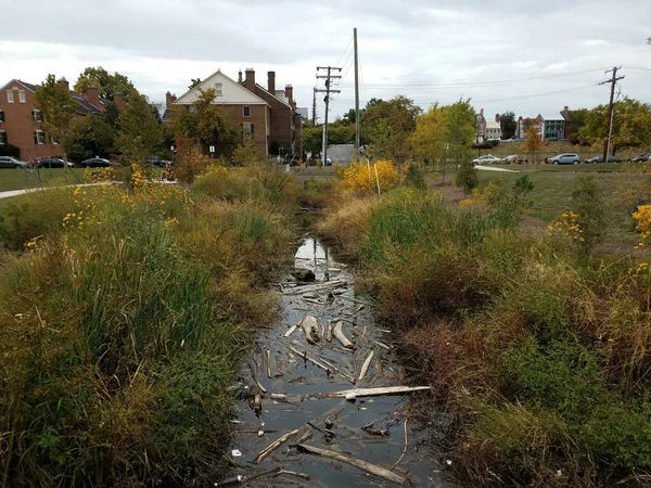 creek or river with wood debris and trash and grasses