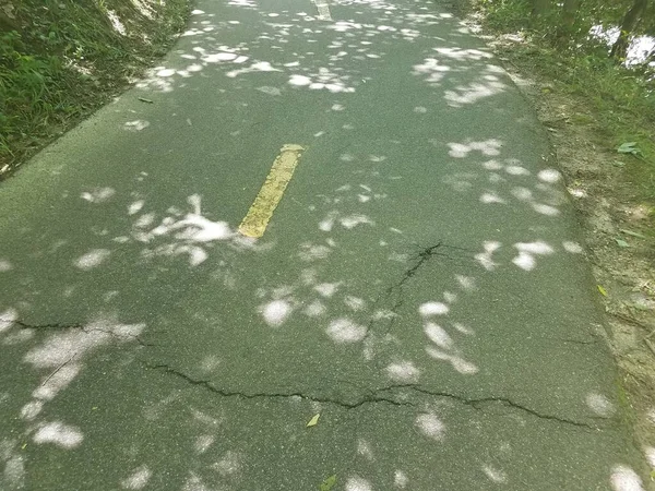 Ein Rissiger Oder Beschädigter Asphaltweg Oder Weg — Stockfoto