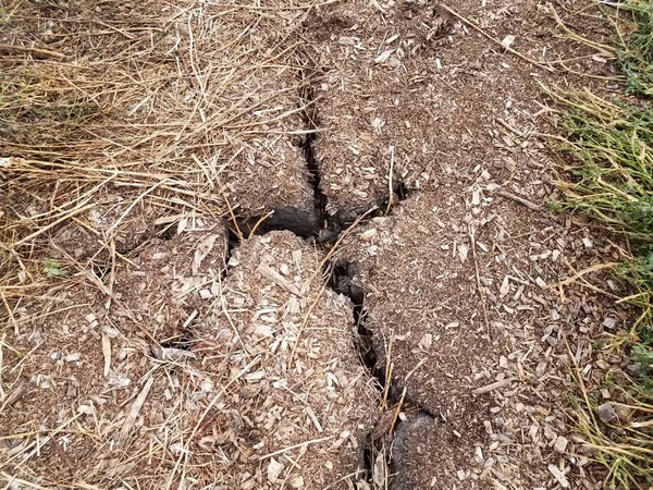 Barst Beschadiging Bruine Mulch Pad Spoor — Stockfoto