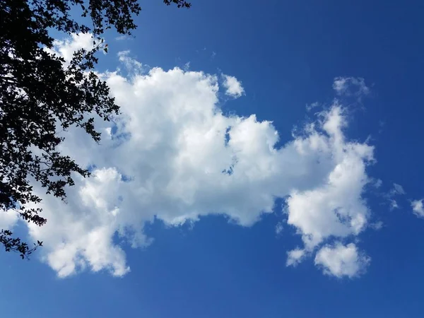 Modrá Obloha Nadýchané Měkké Bílé Mraky Atmosféře Stromem — Stock fotografie