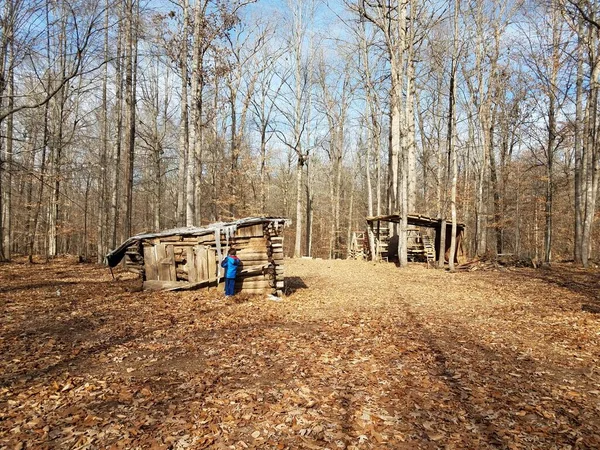 child looking at wood cabins in forest or woods with fallen leaves