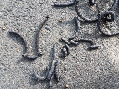 asfalt ya da asfalt üzerinde siyah kömür yılanı havai fişekleri