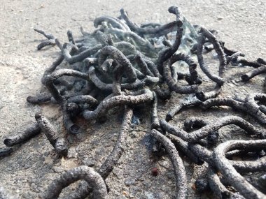 asfalt ya da asfalt üzerinde siyah kömür yılanı havai fişekleri