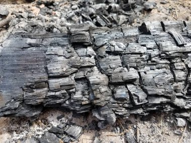 Yanmış kütükler ve kullanılmış kömür.