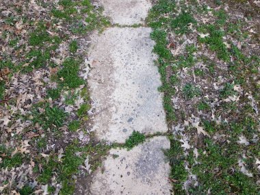 Yeşil çimenli, kahverengi yapraklı ve çamurlu kaldırım