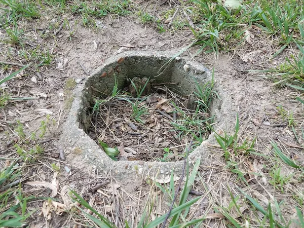 Oude Cementachthoek Gat Groen Gras — Stockfoto