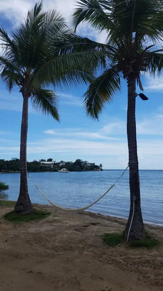 Palmbomen Hangmat Boot Strand Guanica Puerto Rico — Stockfoto