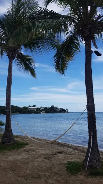 Palmeras Hamacas Barco Playa Guanica Puerto Rico — Foto de Stock