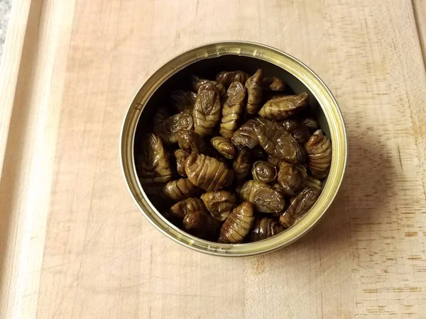 metal can of bugs or insects or larva on wood cutting board
