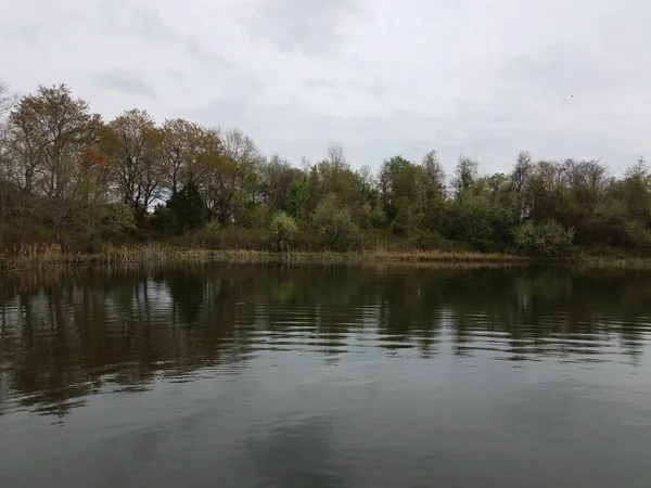 Спокойный Отражающий Пруд Озерная Вода Деревом Небом — стоковое фото
