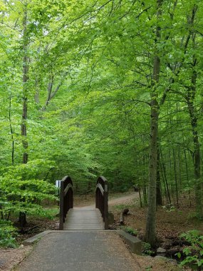 Korkuluklu brdige ve yeşil yapraklı ağaçlar ve patika veya patika