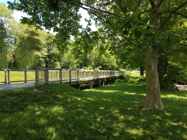 Wood Bridge Bike Path Green Trees — Stock Photo, Image