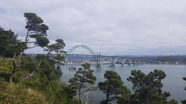Изогнутый Металлический Мост Вода Зеленые Деревья Ньюпорте Орегон — стоковое фото
