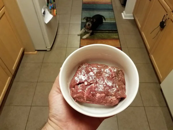 Mão Segurando Tigela Carne Crua Vermelha Com Cão Cozinha — Fotografia de Stock