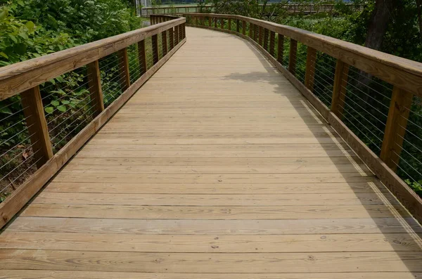 Kayu Boardwalk Atau Trail Atau Path Dengan Pagar Dan Tanaman — Stok Foto