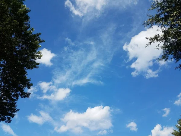 Ένας Γαλάζιος Ουρανός Λεπτά Σύννεφα Στον Ουρανό Και Πράσινα Φύλλα — Φωτογραφία Αρχείου
