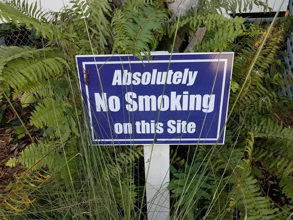 这个网站上绝对禁止吸烟的蓝色标志 绿色蕨类和蜥蜴 — 图库照片