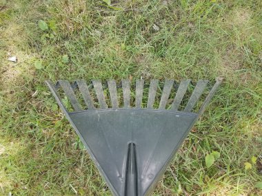 Yeşil çimenlikte siyah plastik bir tırmık.