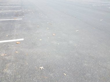 Siyah asfalt park yeri, beyaz çizgiler ve düşmüş kahverengi yapraklar.