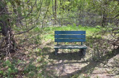 Ağaçlı ahşap bank ve ormanda metal çit