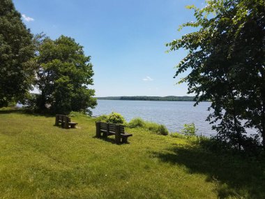 Potomac nehrine bakan ağaçlı bank