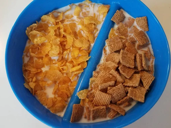 Ciotola Plastica Blu Con Divisore Due Tipi Cereali Latte — Foto Stock
